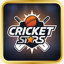 cricket-champions