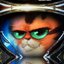 dontplaywithkitty
