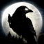night-crows